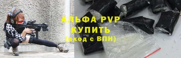 дживик Инта