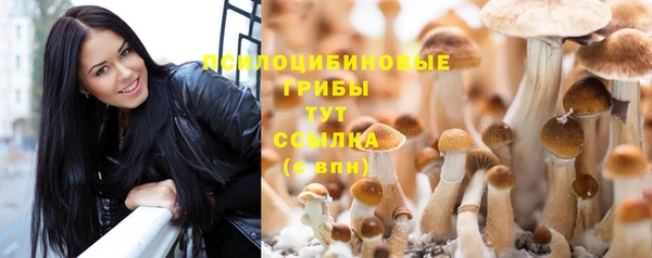 дживик Инта