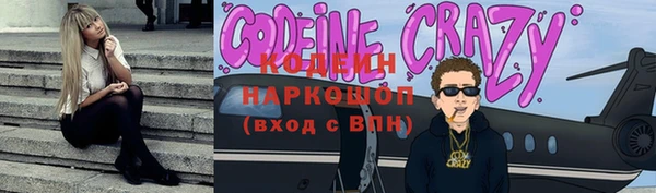 дживик Инта