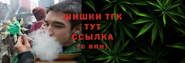 PSILOCYBIN Иннополис