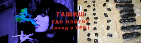 дживик Инта