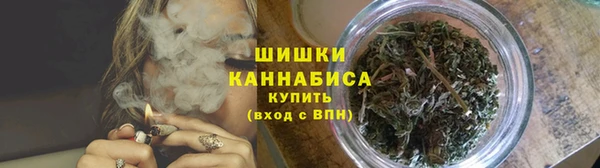 дживик Инта