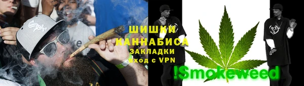 PSILOCYBIN Иннополис