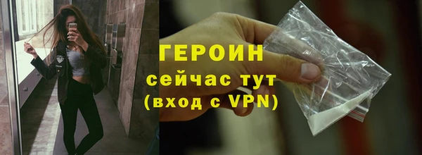 дживик Инта