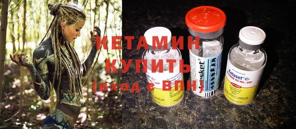дживик Инта