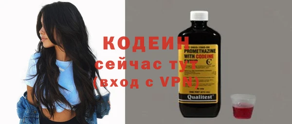 дживик Инта
