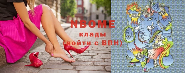 дживик Инта