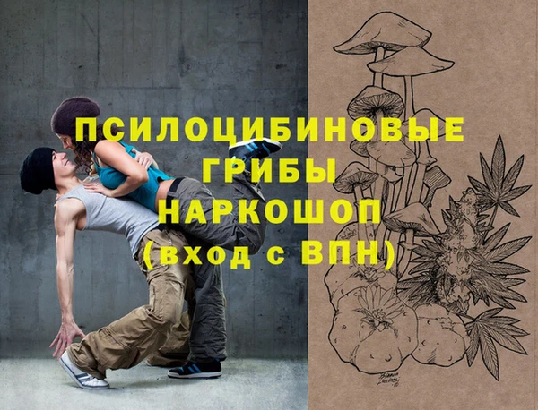 дживик Инта