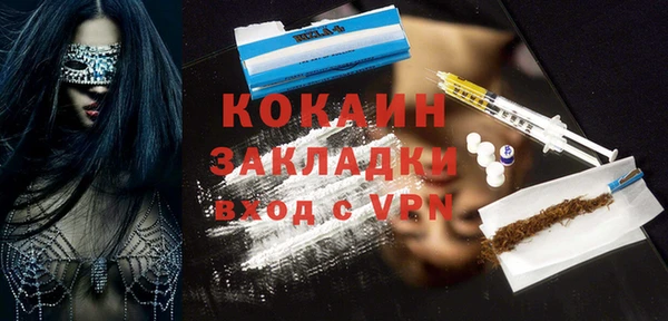 дживик Инта