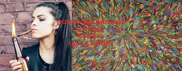 PSILOCYBIN Иннополис