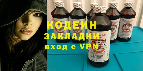 дживик Инта