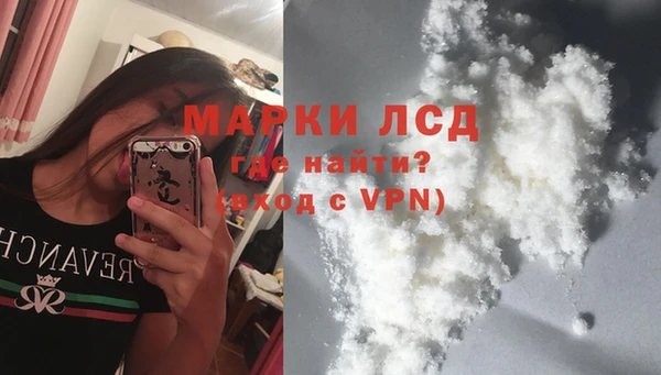 дживик Инта