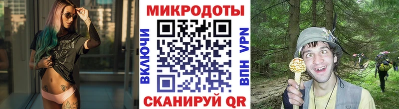 Купить где  Нестеров  Галлюциногенные грибы Psilocybine cubensis 